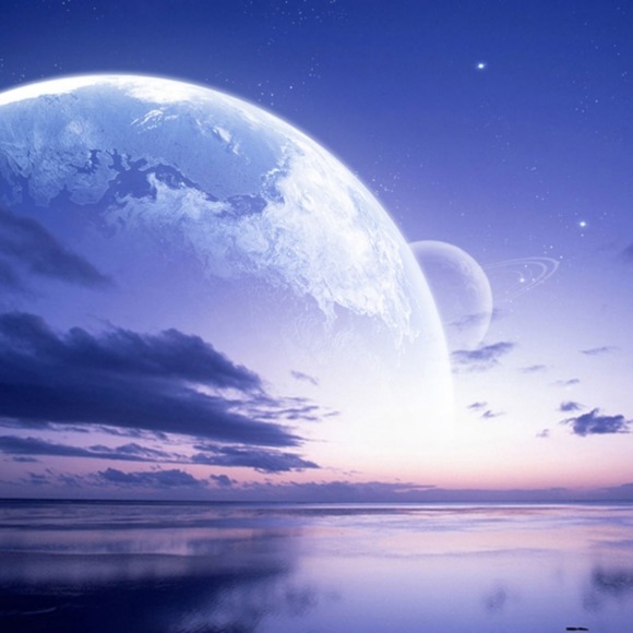 Meet your Posher, Katie - Picture 1 of 1